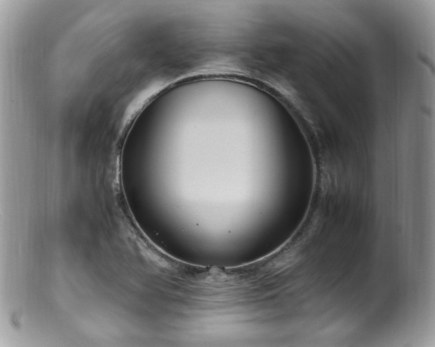 X0000099401366200805151655