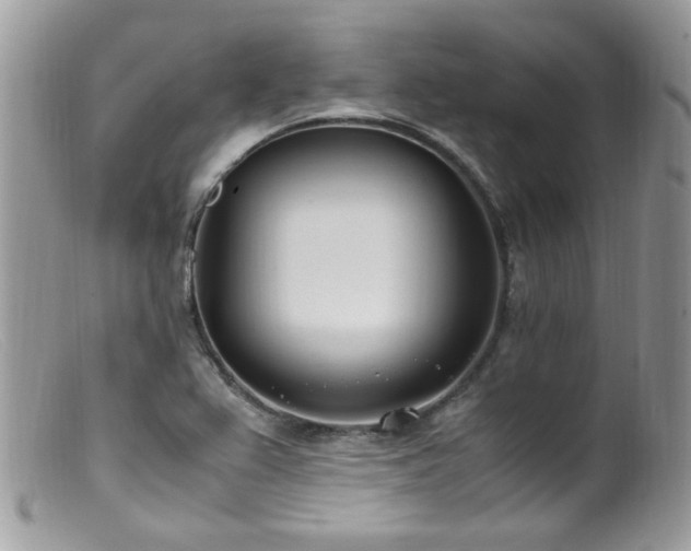 X0000099401367200805151655