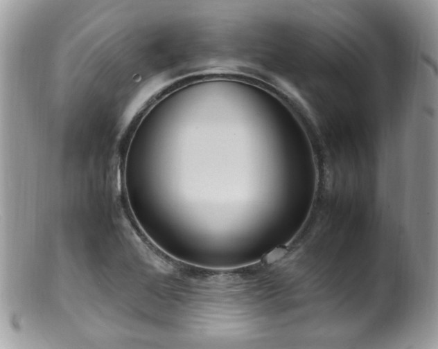 X0000099401368200805151655