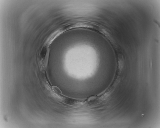 X0000099401369200805151655