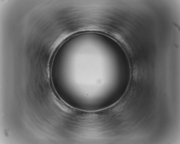 X0000099401372200805151655