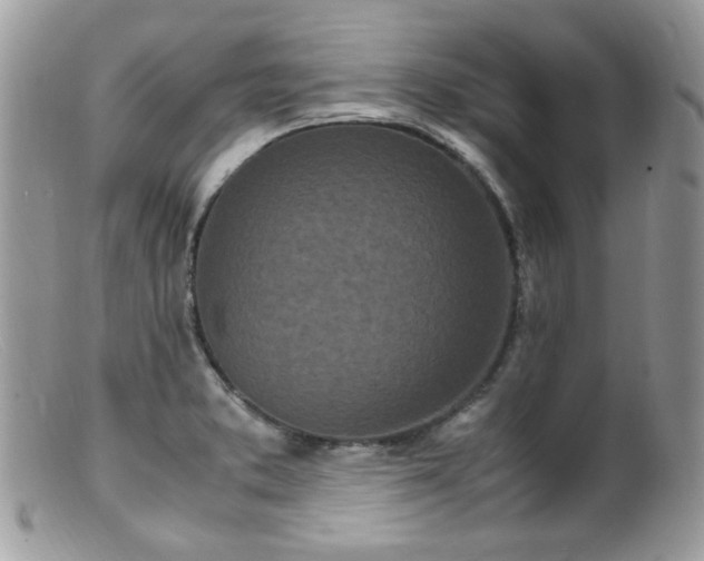 X0000099401373200805151655