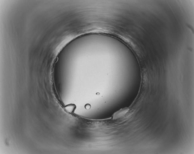 X0000099401375200805151655