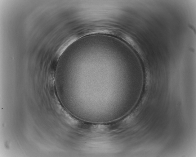 X0000099401377200805151655