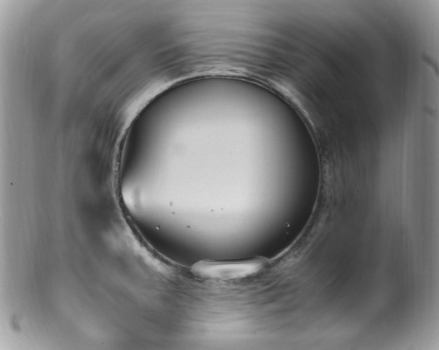 X0000099401379200805151655