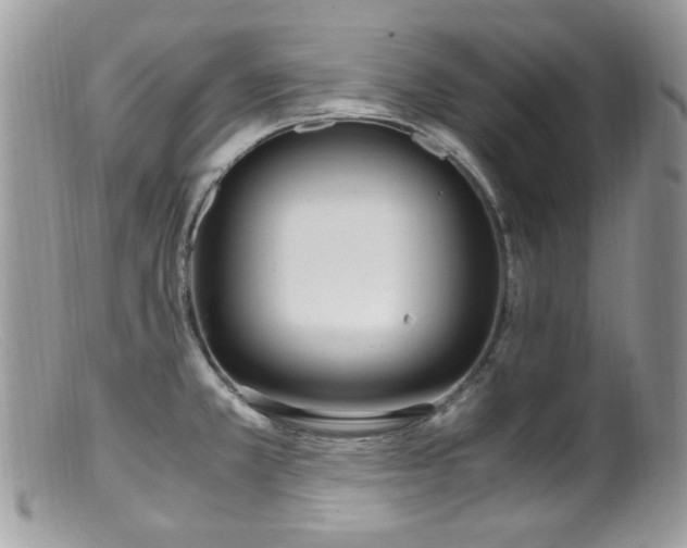 X0000099401381200805151655