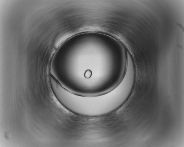 X0000099401382200805151655