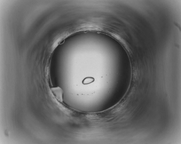 X0000099401383200805151655