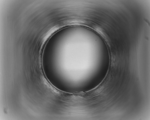 X0000099401384200805151655