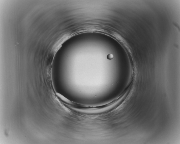 X0000099401385200805151655