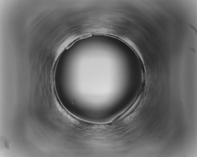 X0000099401389200805151655