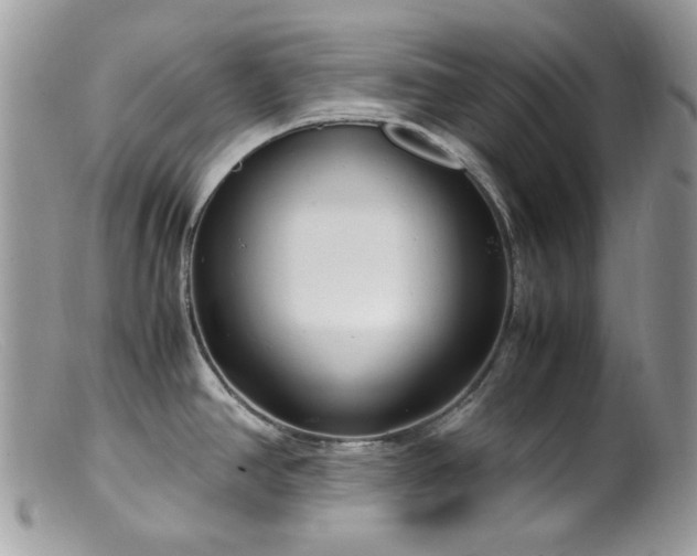 X0000099401390200805151655