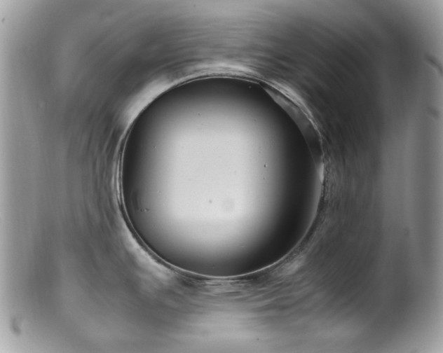 X0000099401391200805151655