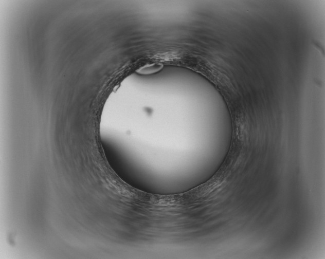 X0000099401393200805151654