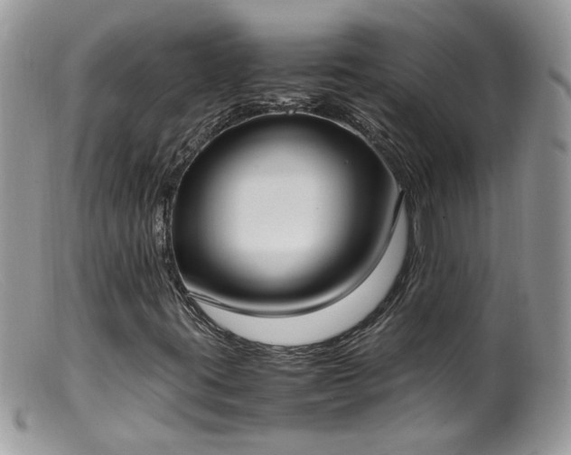 X0000099401395200805151654