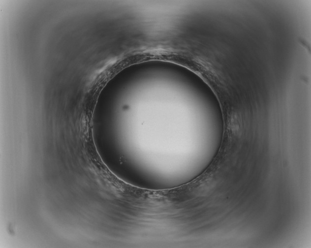 X0000099401398200805151655