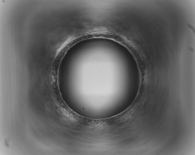 X0000099401400200805151655