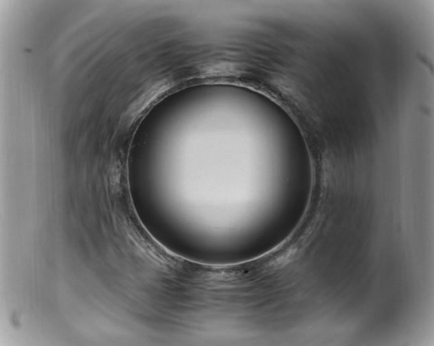 X0000099401401200805151655