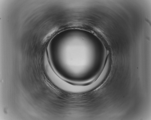 X0000099401403200805151655