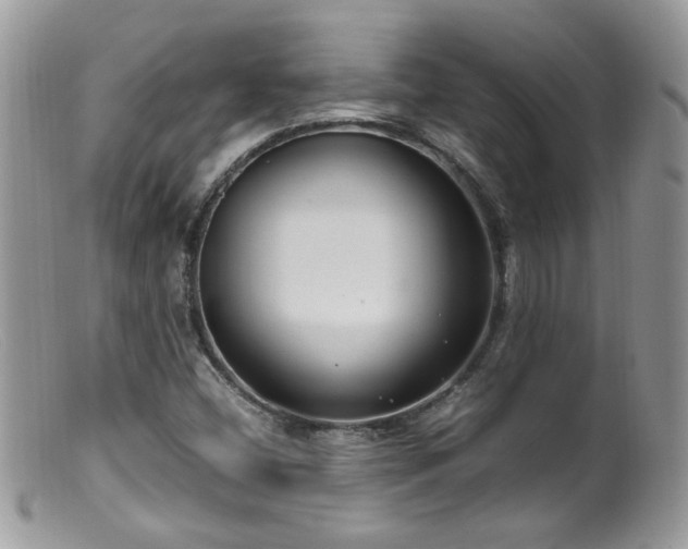 X0000099401404200805151655