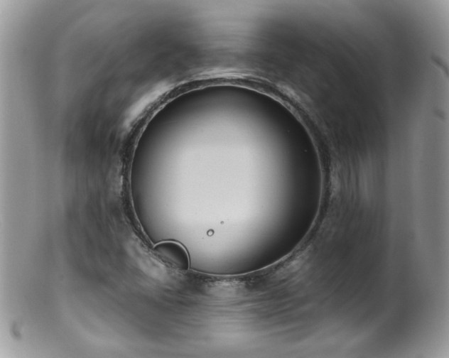 X0000099401406200805151655