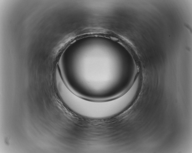 X0000099401407200805151655