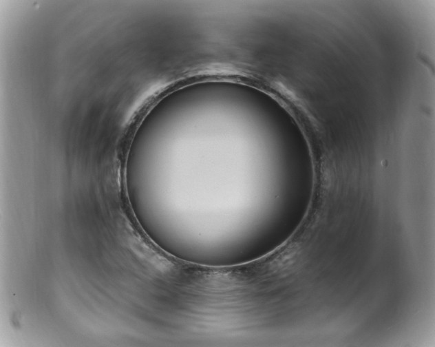 X0000099401408200805151655