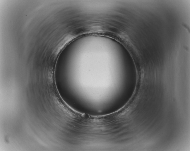 X0000099401409200805151655