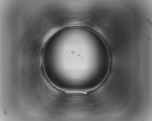 X0000099401413200805151655