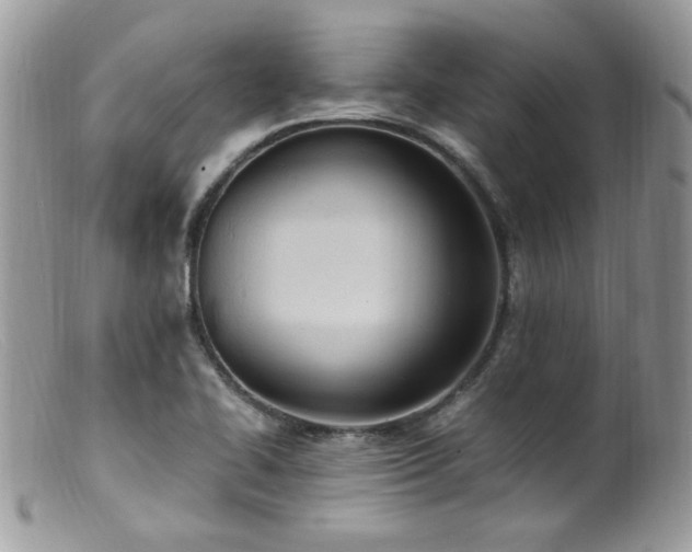 X0000099401414200805151655