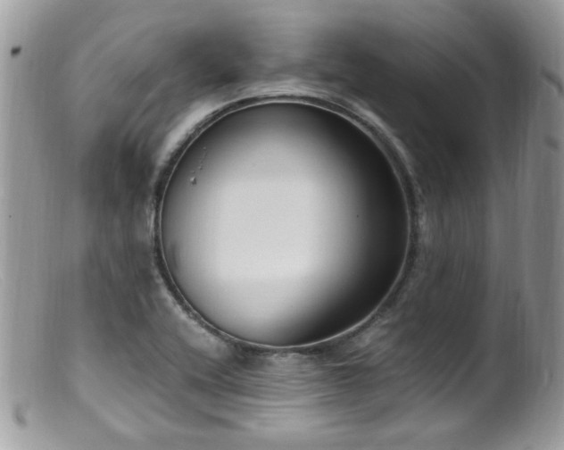 X0000099401416200805151655