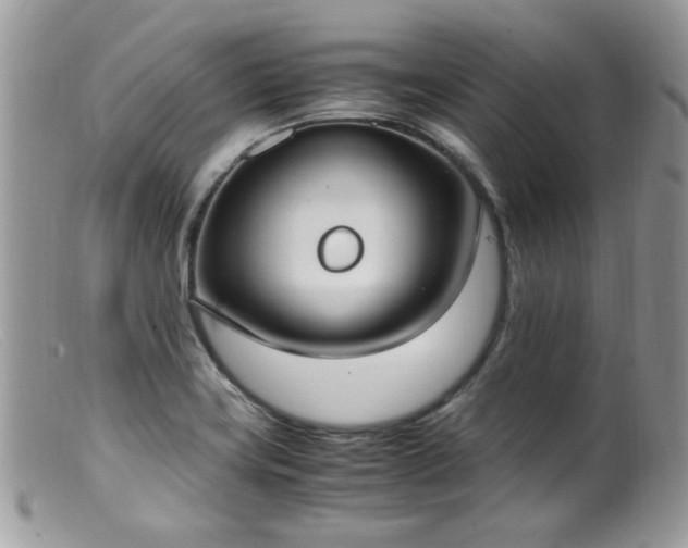 X0000099401419200805151655