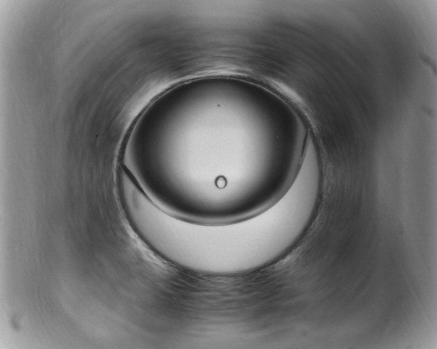 X0000099401423200805151655