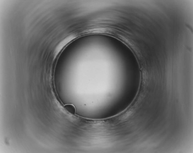 X0000099401426200805151655