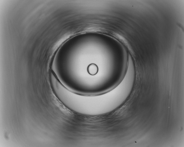 X0000099401427200805151655