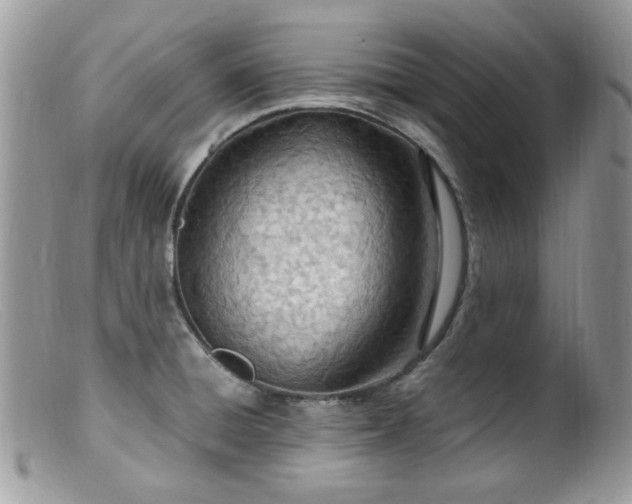 X0000099401428200805151655