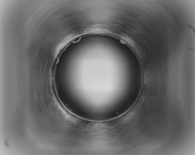 X0000099401430200805151655