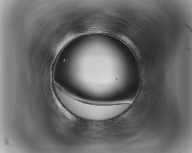 X0000099401431200805151655