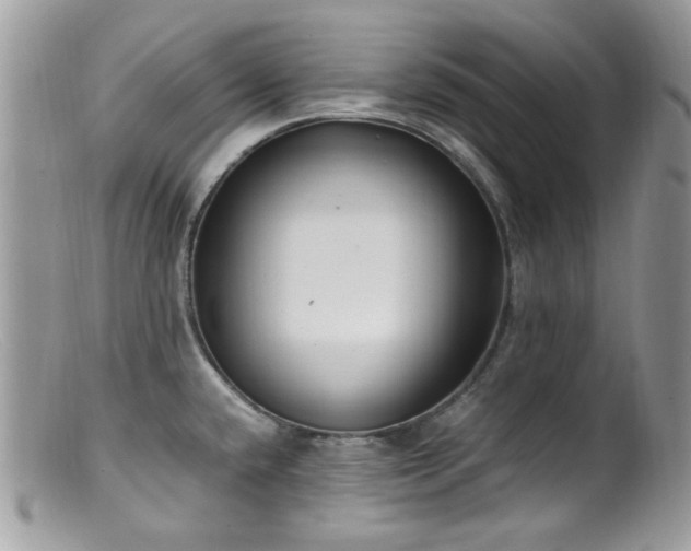 X0000099401432200805151655