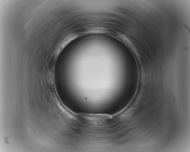 X0000099401433200805151655