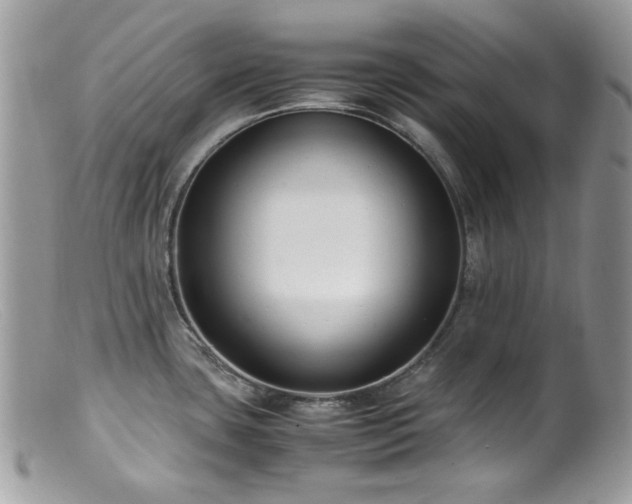 X0000099401435200805151655