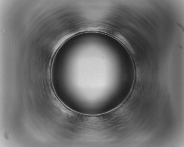 X0000099401436200805151655