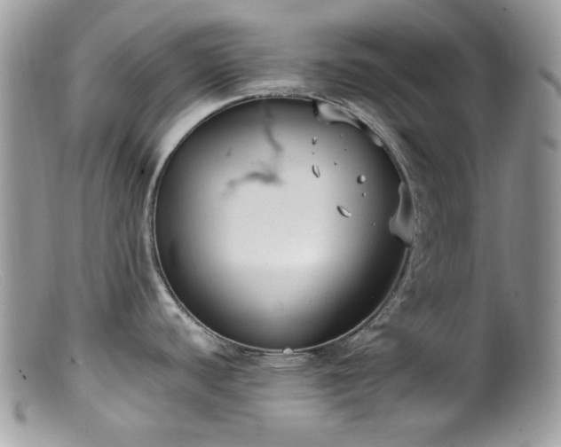 X0000099401440200805151655