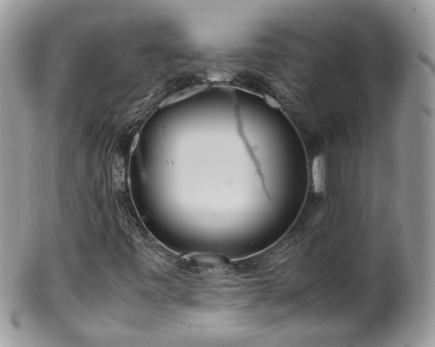 X0000099401443200805151654