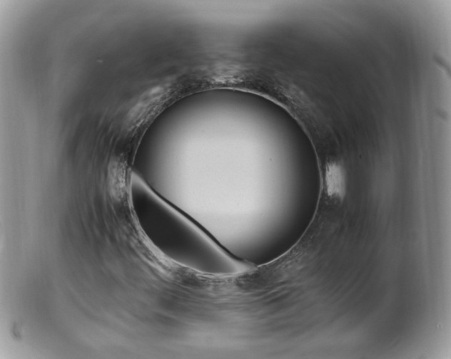 X0000099401444200805151654