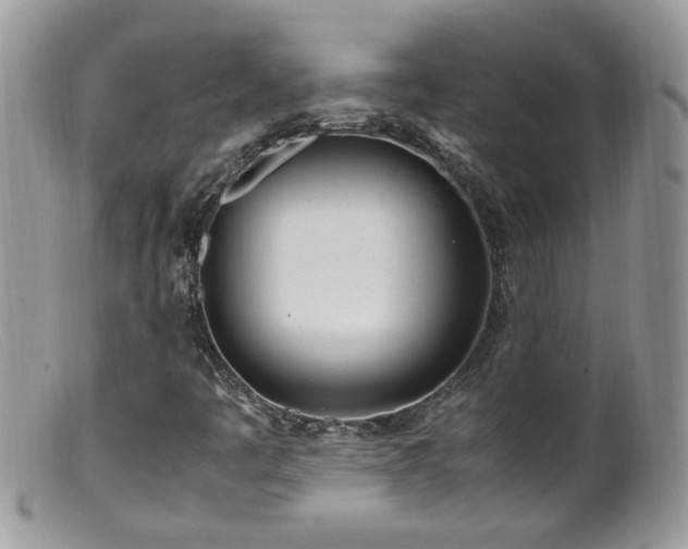 X0000099401445200805151654