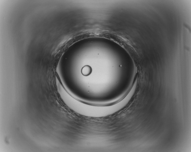 X0000099401446200805151654