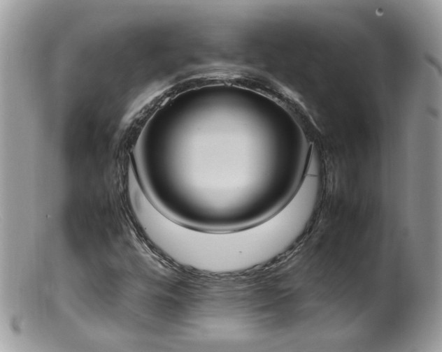 X0000099401448200805151654
