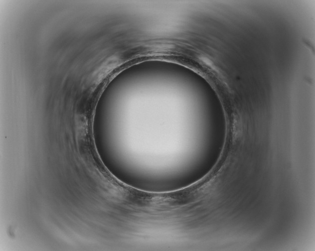 X0000099401449200805151654
