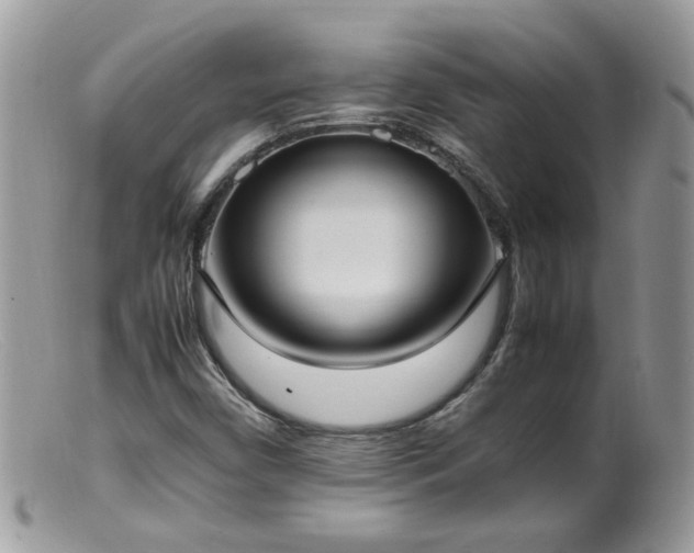 X0000099401450200805151654